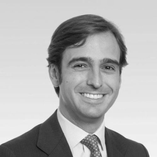 Javier del Hoyo Javier del Hoyo